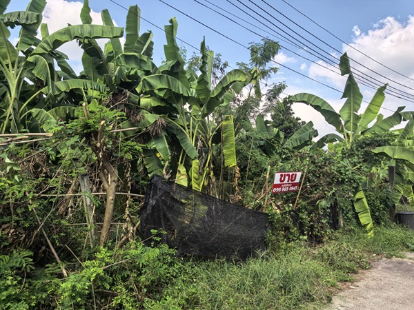 ขายที่ดินเปล่า 70ตรว. คลอง11 หมู่บ้านนริศรา ซ.4 ถูกกว่าราคาประเมิน เจ้าของขายเอง โทร 0969654945